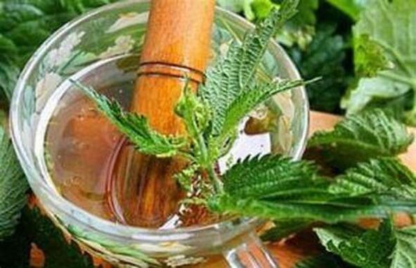 Nettle has a beneficial effect on potential